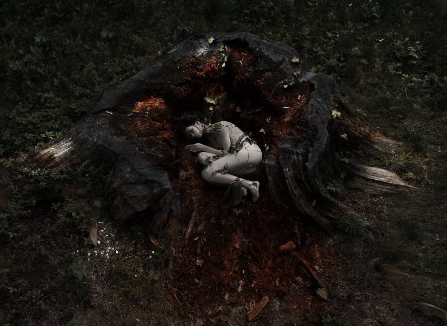 art, Сакрюкин Кирилл