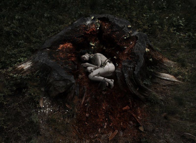 art Heart forest фото превью