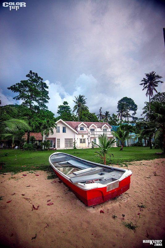 COLOR TASTE фото превью