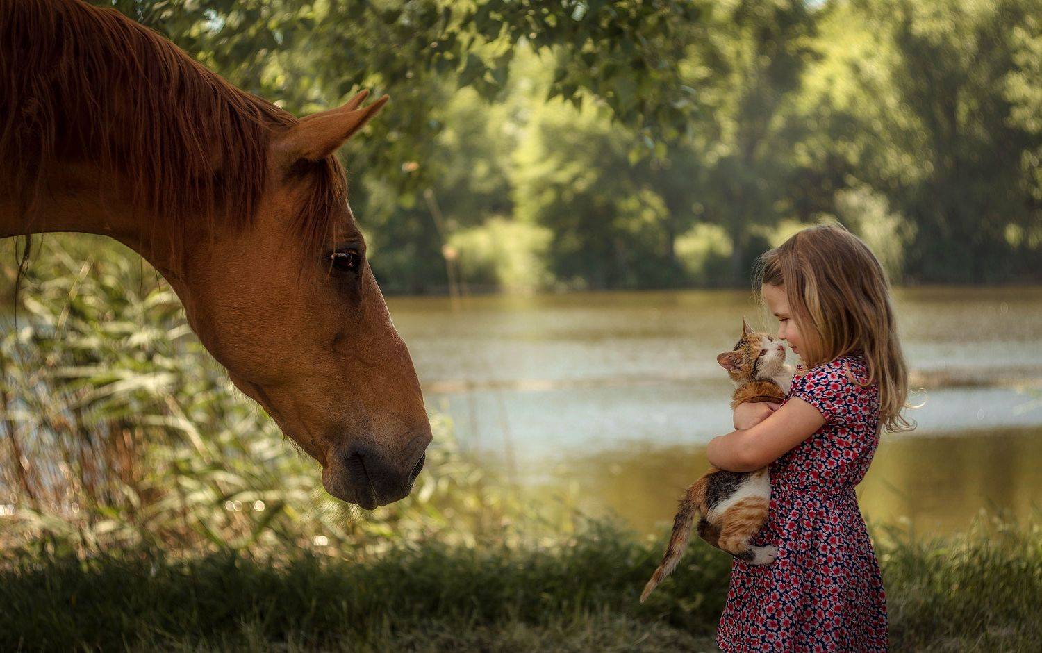 , Лилия Немыкина