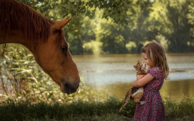 Первое знакомство фото превью