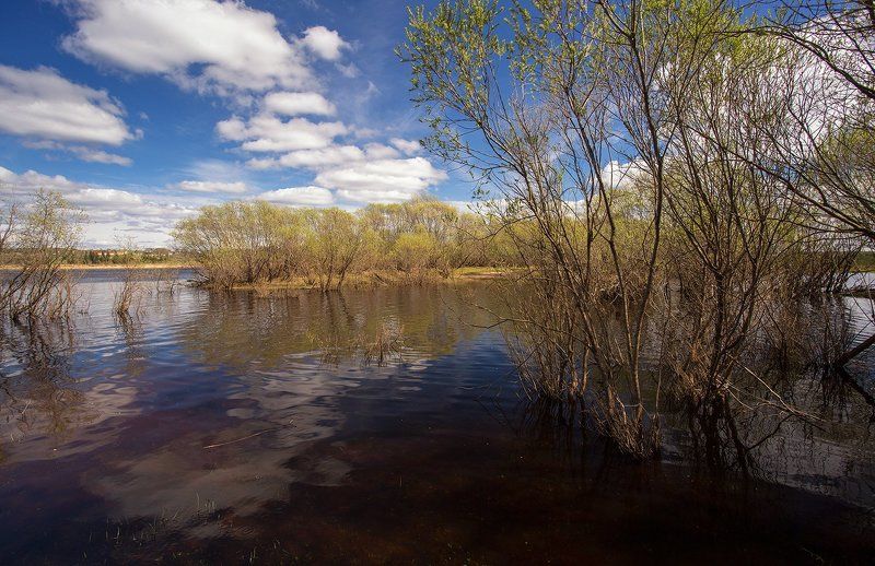 *********** фото превью