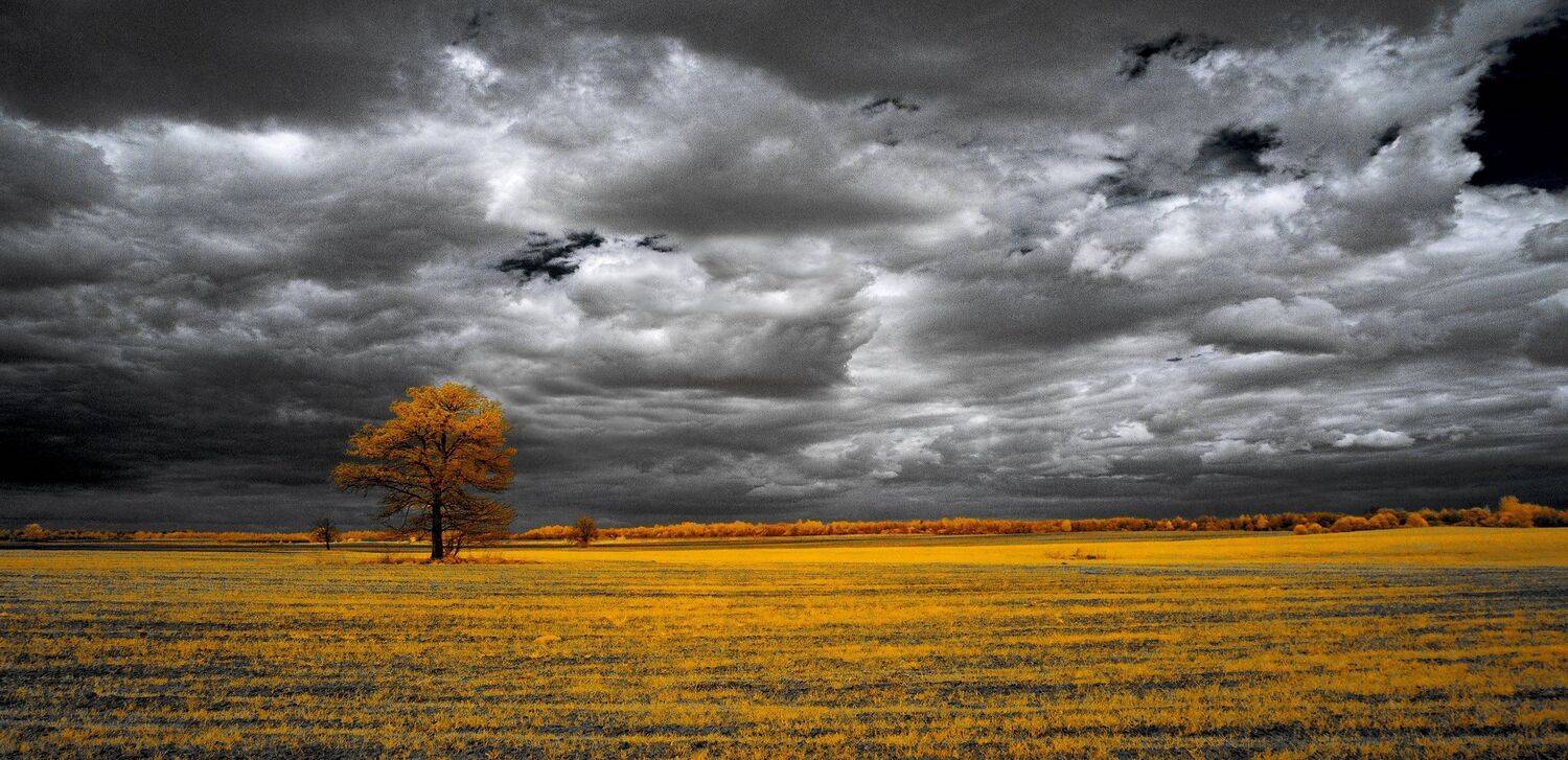 infrared,ик-фото,инфракрасное фото,инфракрасная фотография,пейзаж,природа,беларусь,весна, Sixten ( Сергей )