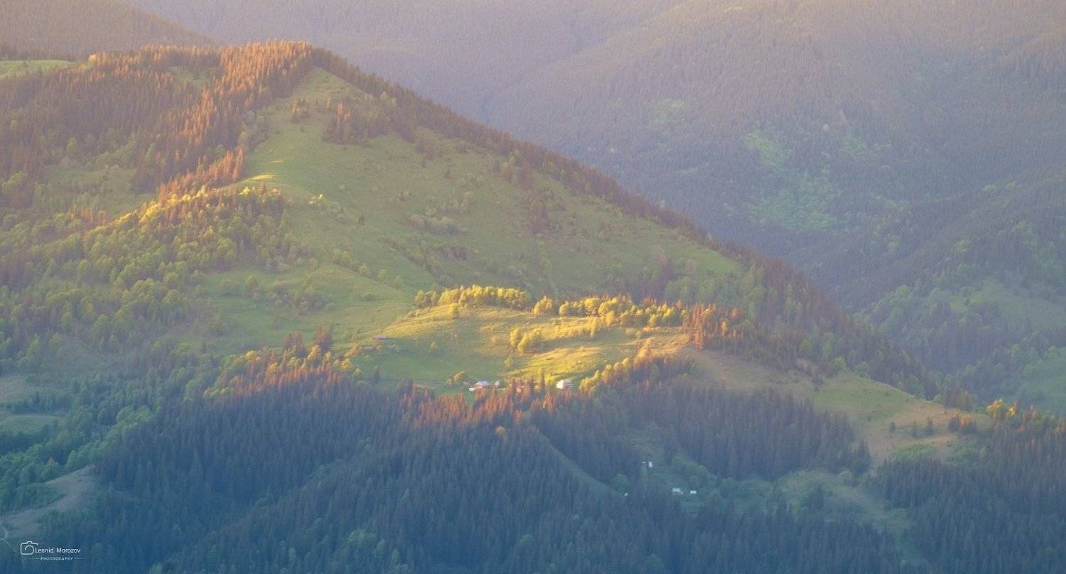 рассвет., туман., карпаты., горы, Леонид Морозов