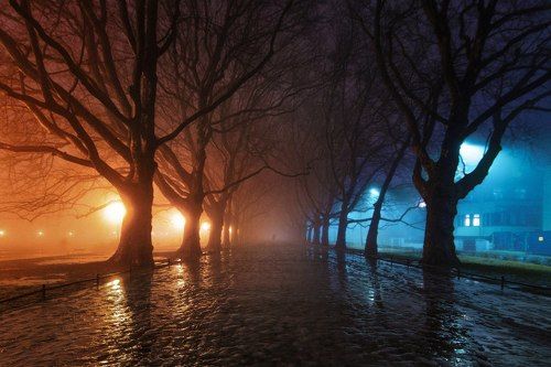 Щецинский парк Jasne Błonia
