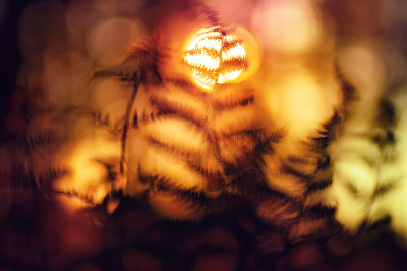 Акварель фото превью