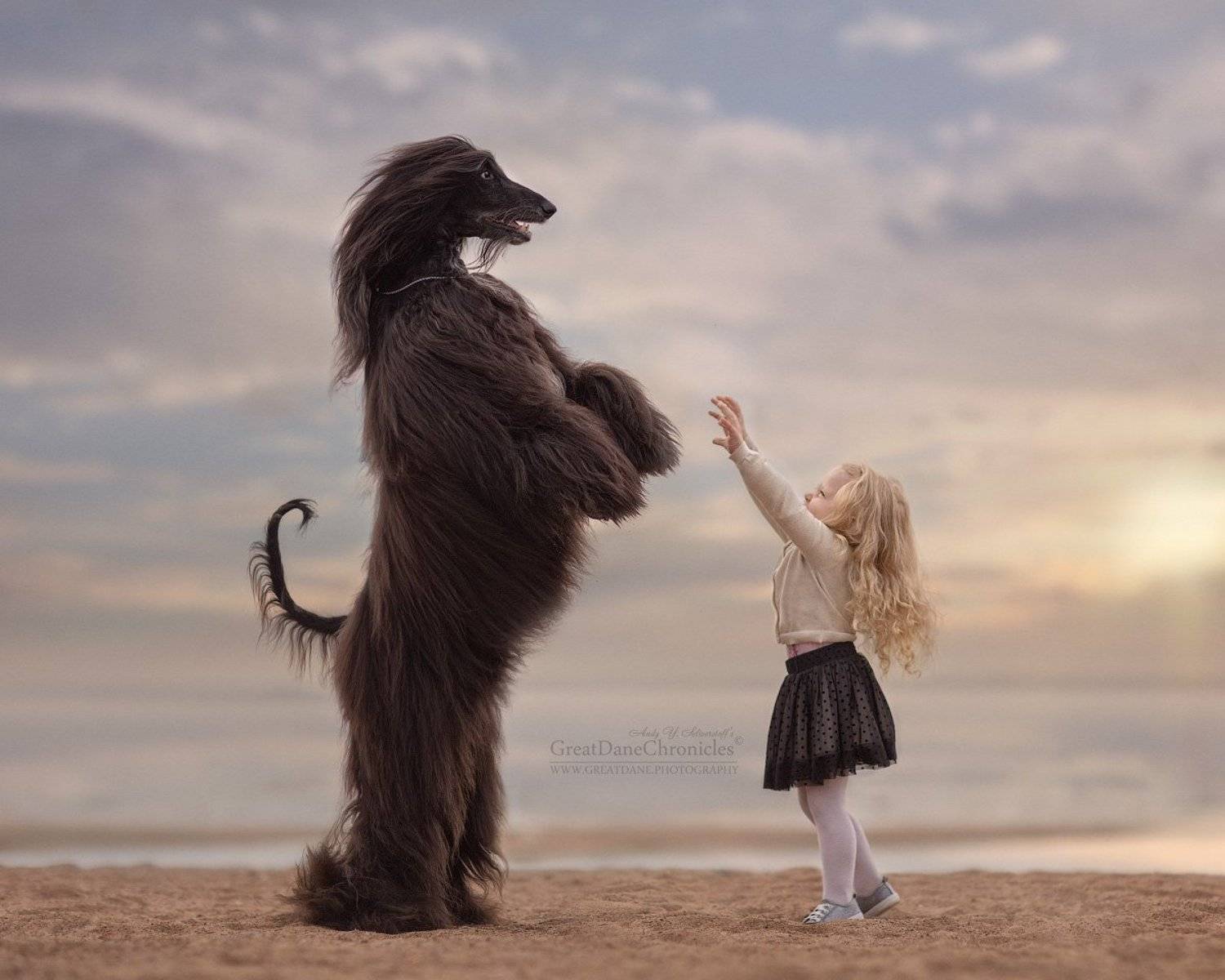 , Андрей Селиверстов