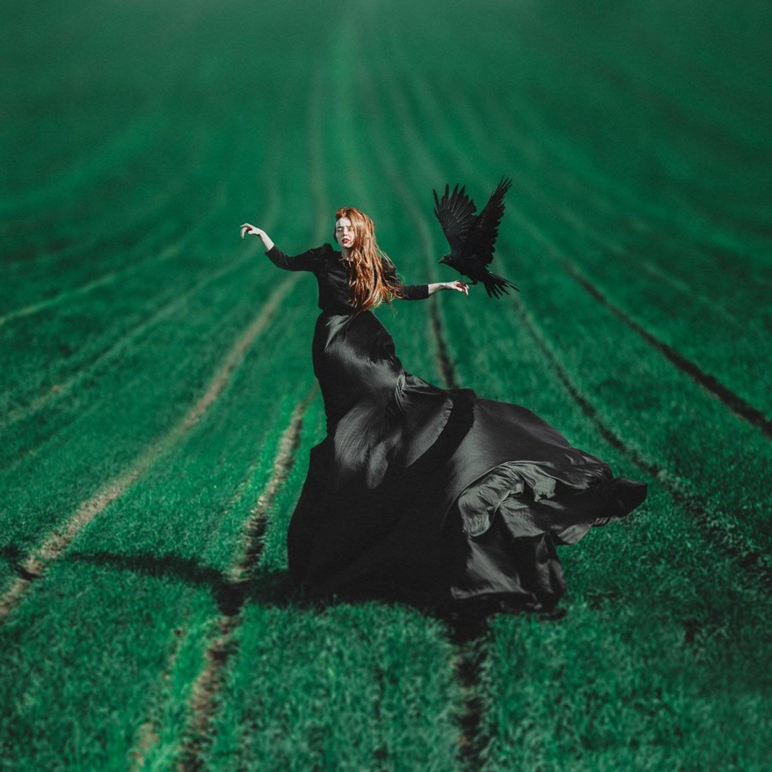 рыжая, девушка, черное платье, ворон, зеленое, поле, портрет, girl, crow, field, green, red hair, emotive, black dress, Екатерина Троян