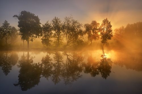 /В лучах рассвета.../