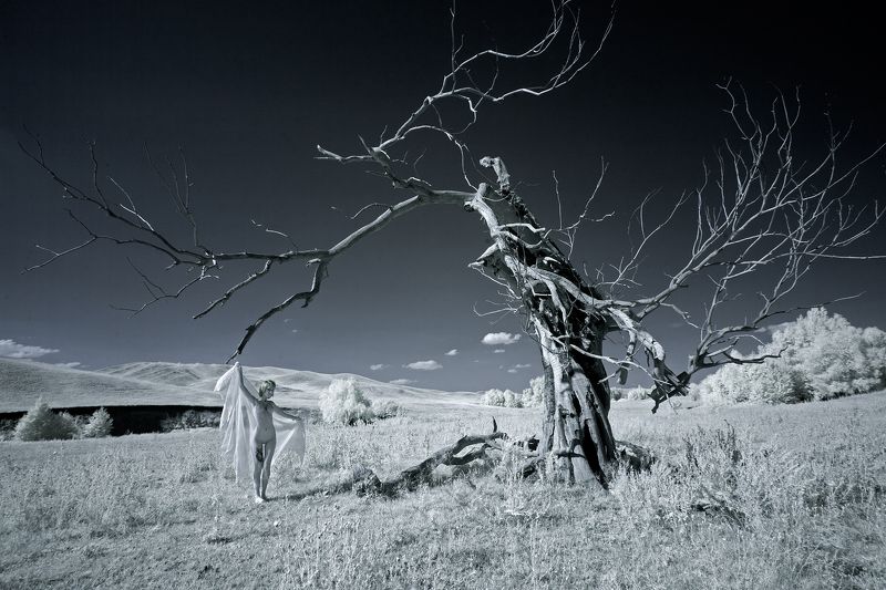 ir,infrared,nu,nude,landscape,tree,girl, Ландшафт моих воображений (2) фото превью