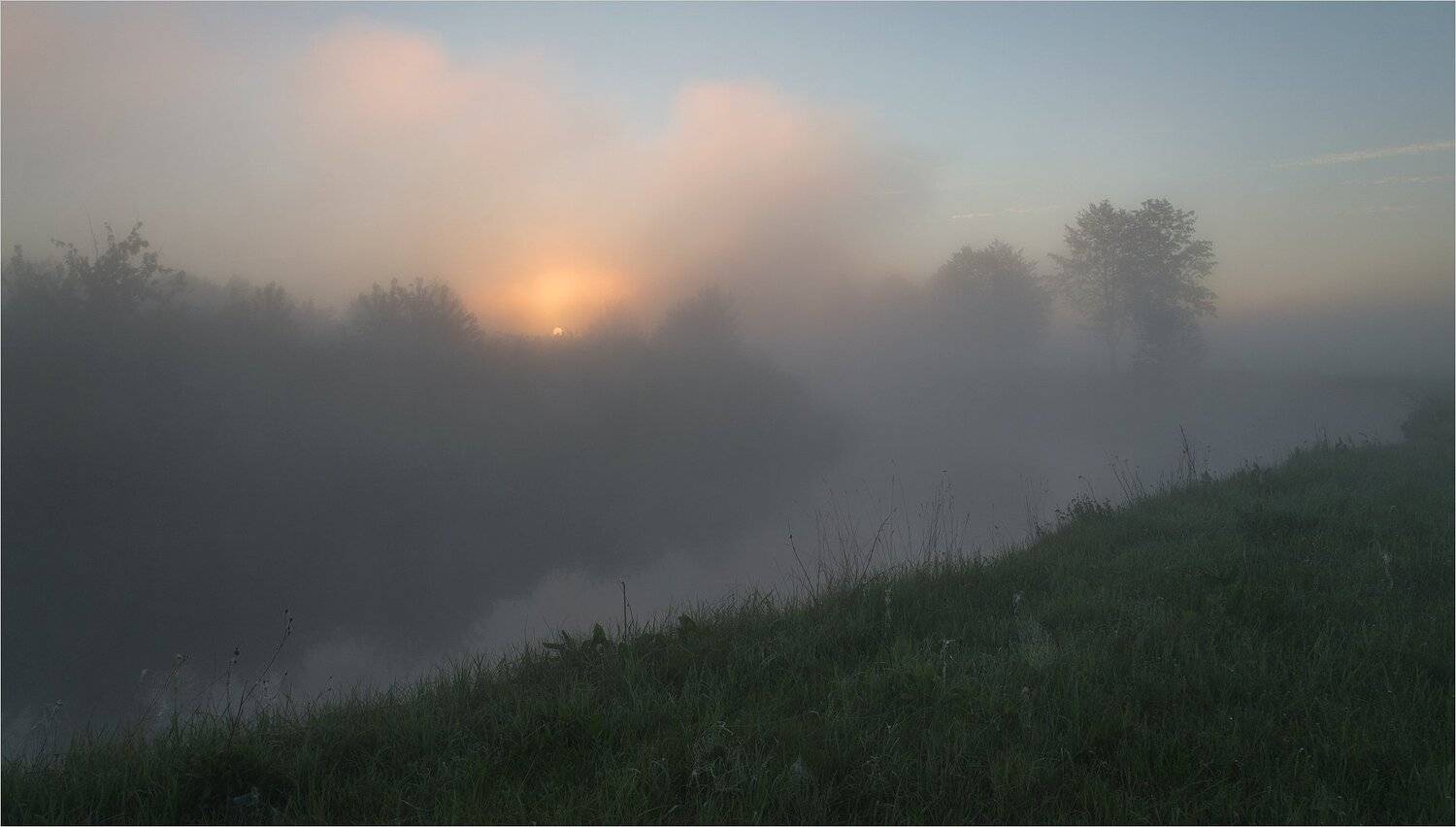 , Николай Шахманцир