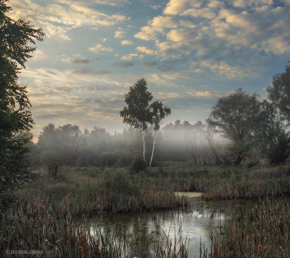 , Екатерина Ионенко