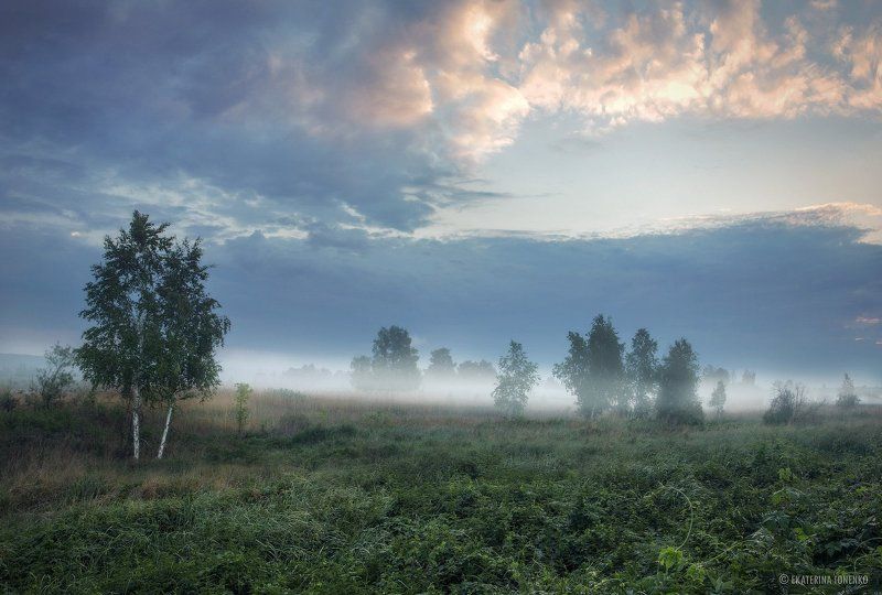Нежное утро фото превью