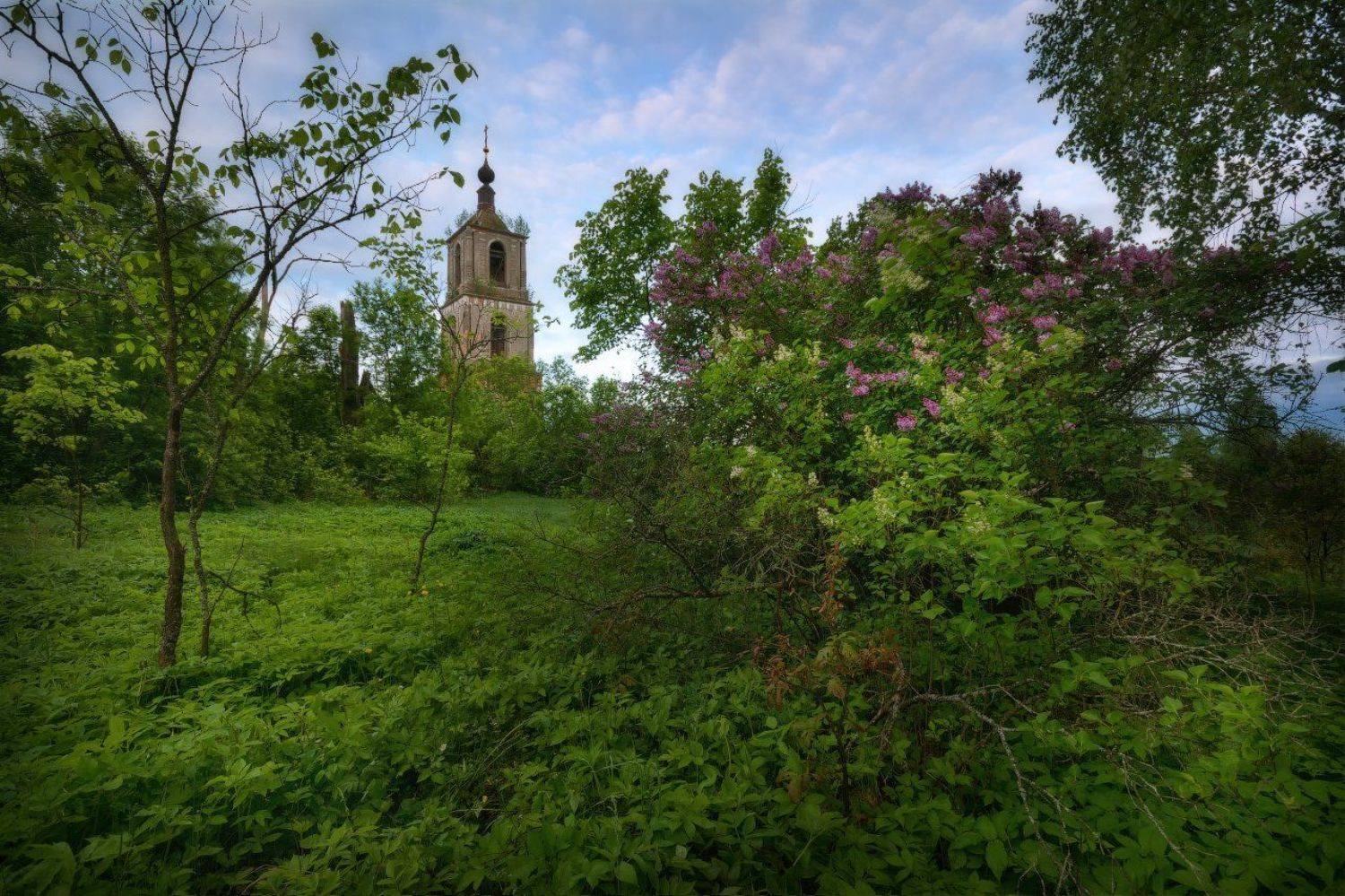 пейзаж, пейзажная съемка, утро, туман, храм, июнь, июньское утро, свежесть, молодая зелень, никон, landscape, may, fog, morning, church, Жмак Евгений