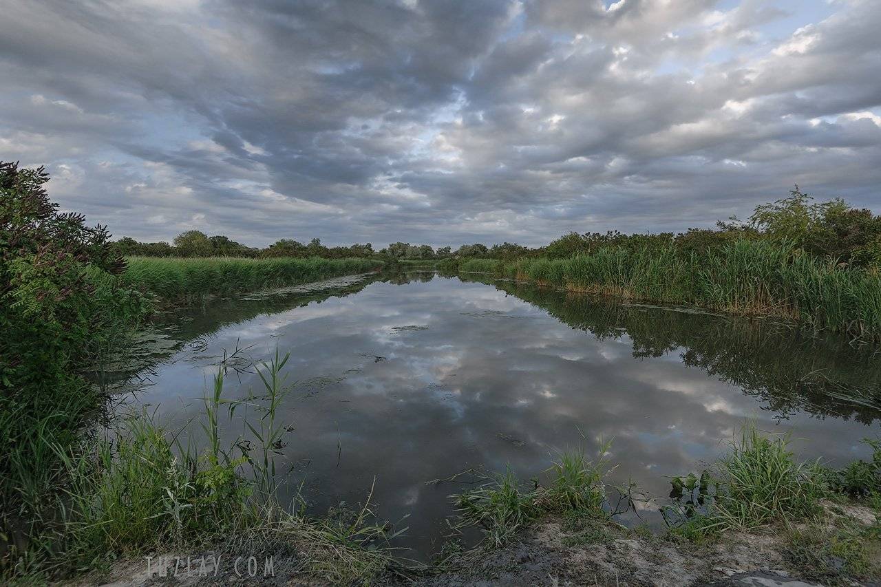 земля таманская, таманский полуостров, камыши, Владимир Тузлай