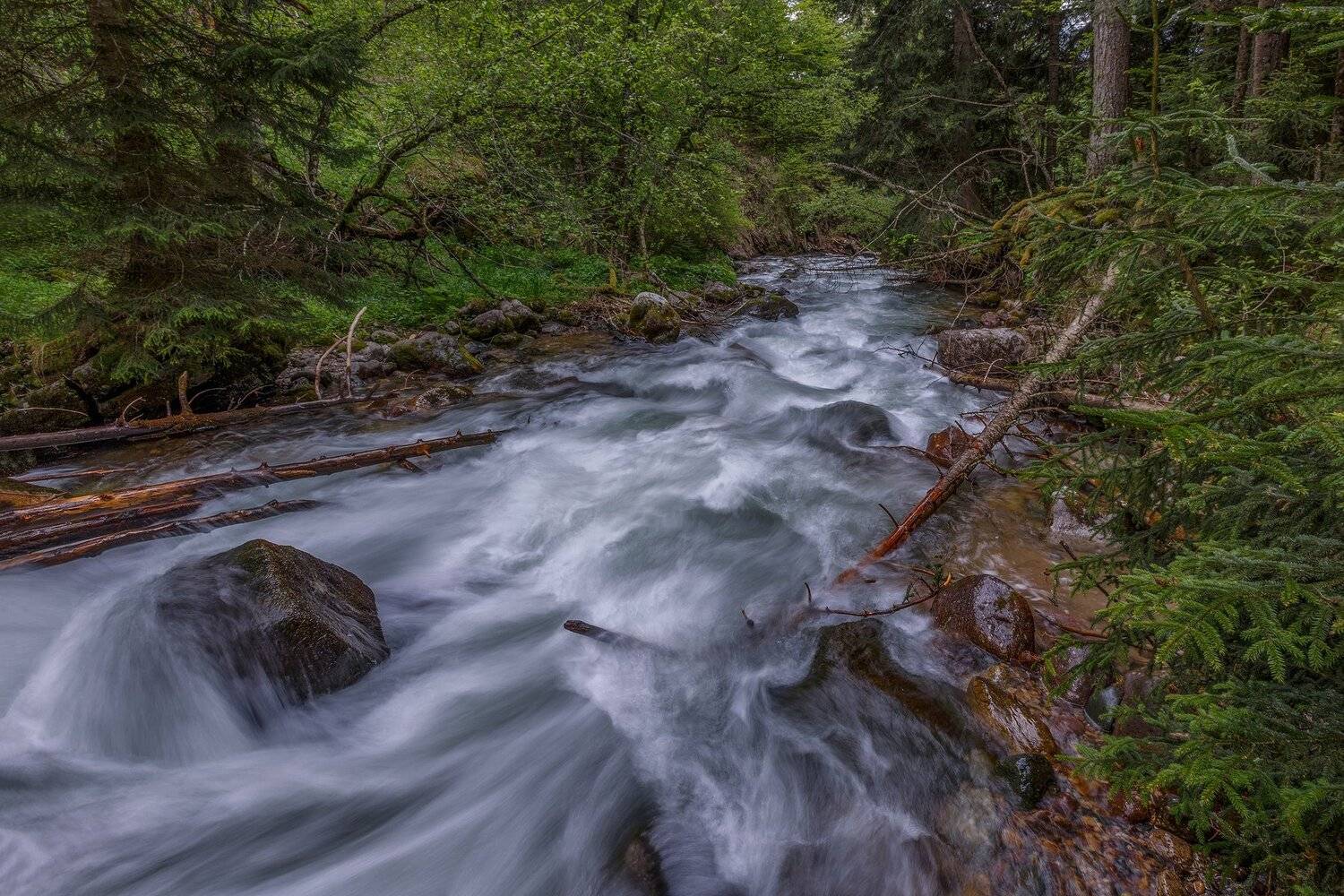 кчр,карачаево-черкесия,горы ,теберда,мухинское ущелье,тебердинский заповедник,река муху, Коркин Вадим