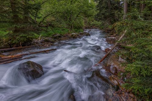 Река Муху ...