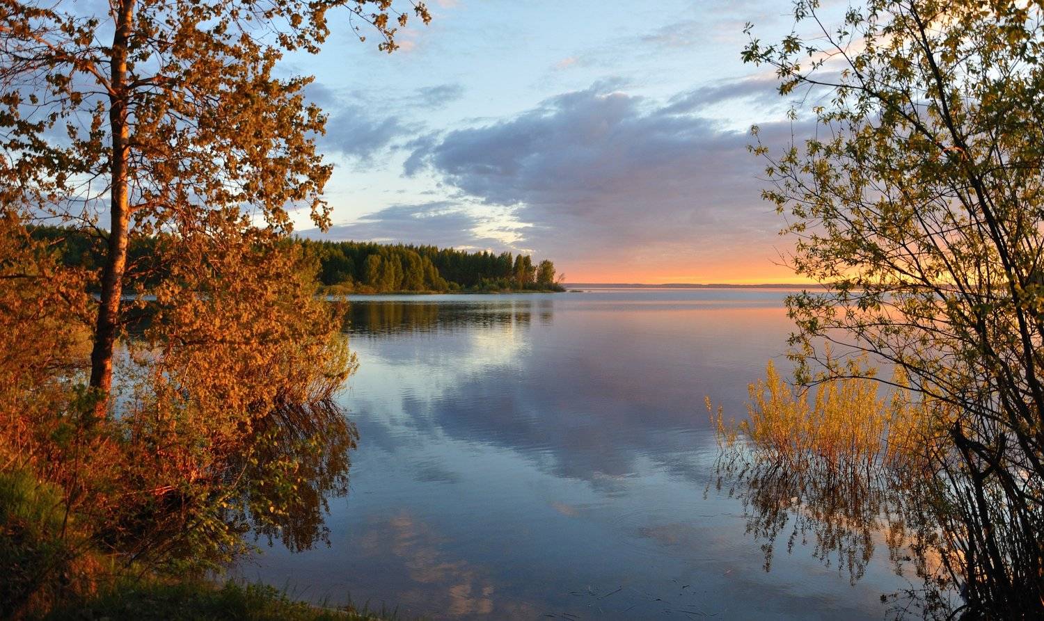 , Андрей Куликов