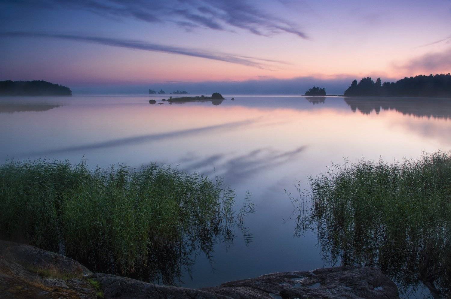 , Денис Богомолов