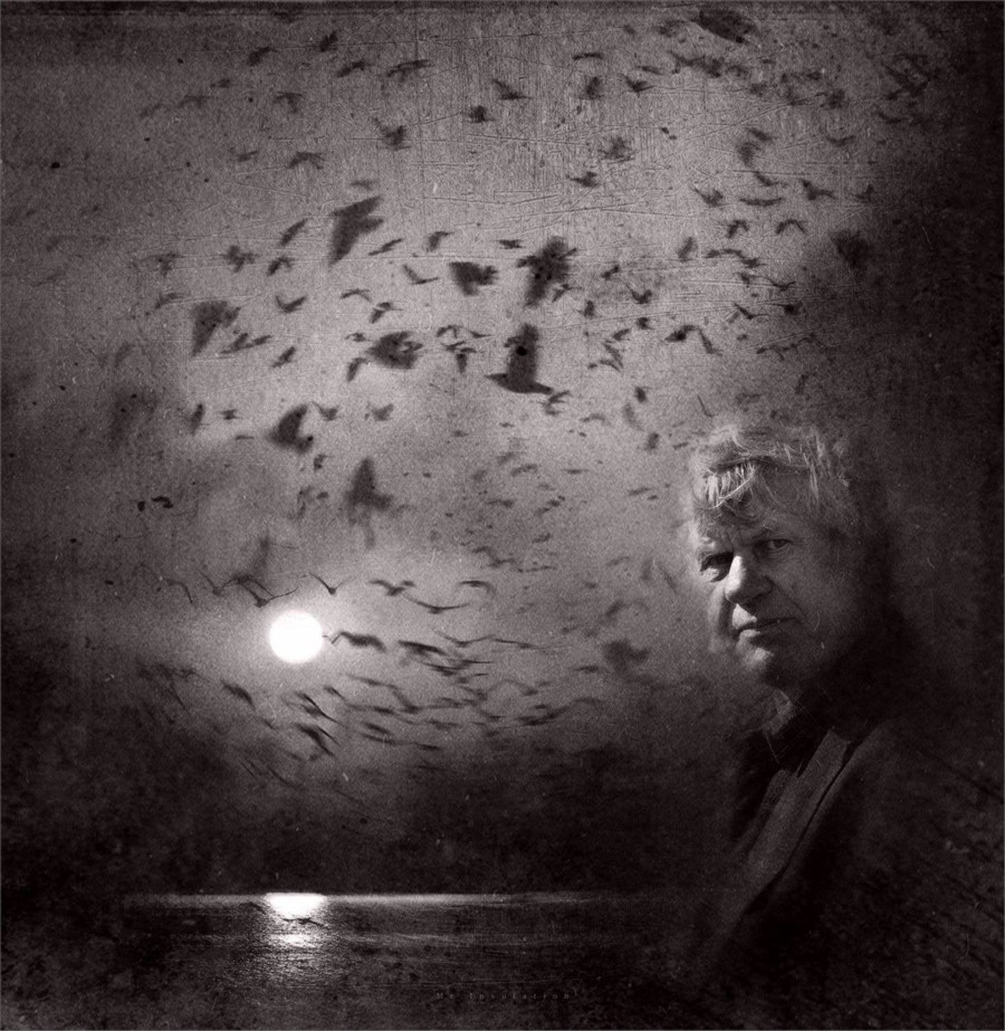 , Владислав Холодков