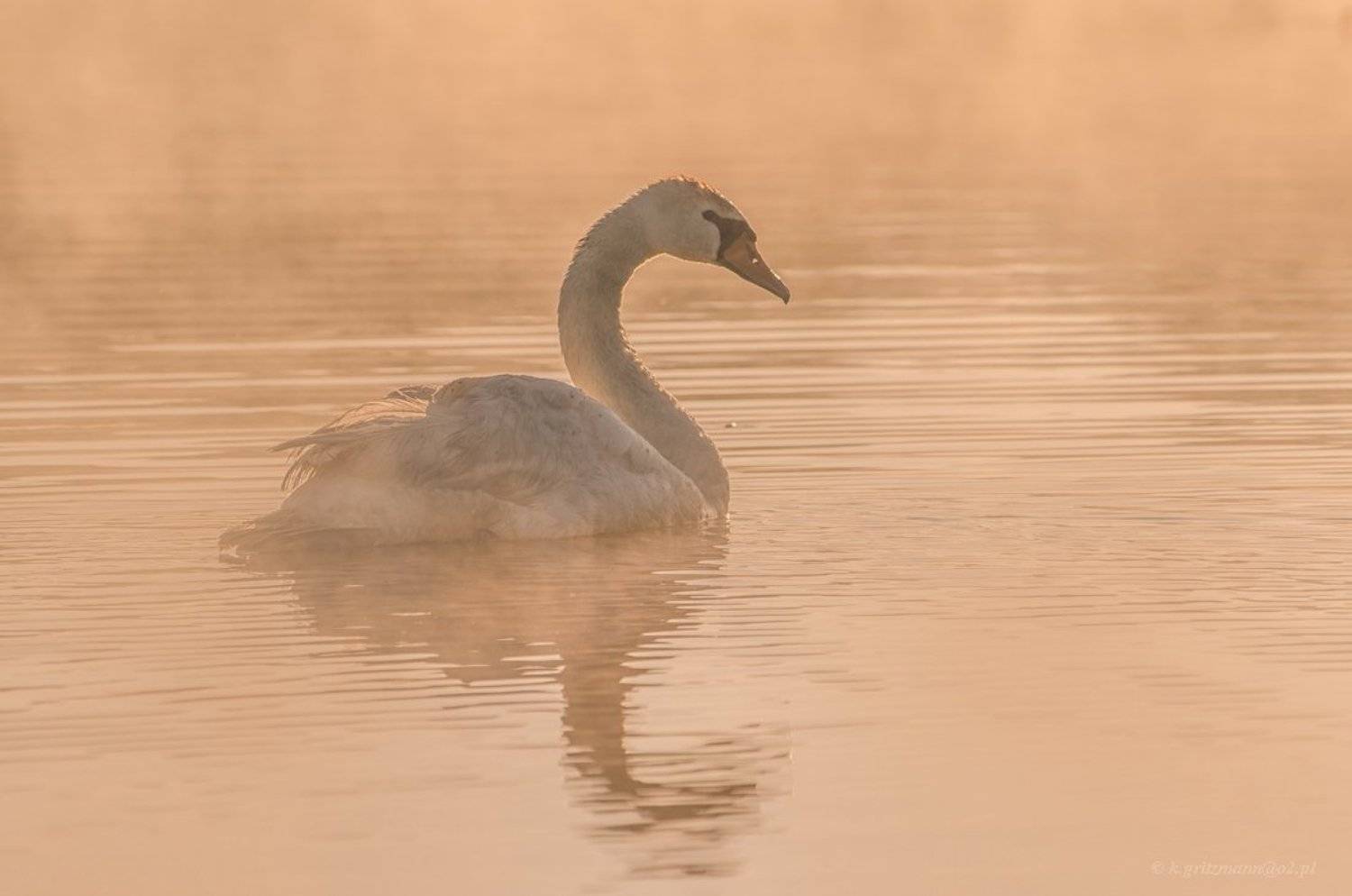 , Katarzyna Gritzmann