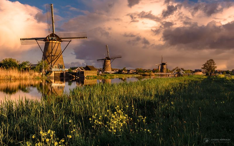 holland, kinderdijk, landscape Голландская пастораль фото превью