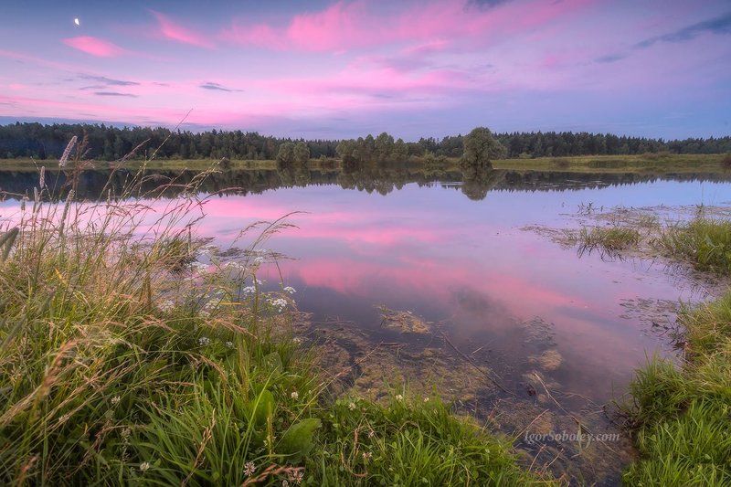 закат, озеро, пейзаж, отражение, небо, трава, облака Тихая вода фото превью