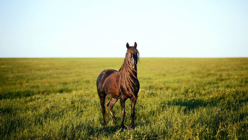 Встреча фото превью