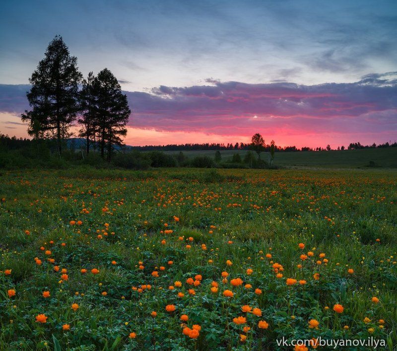 Июньский вечер фото превью