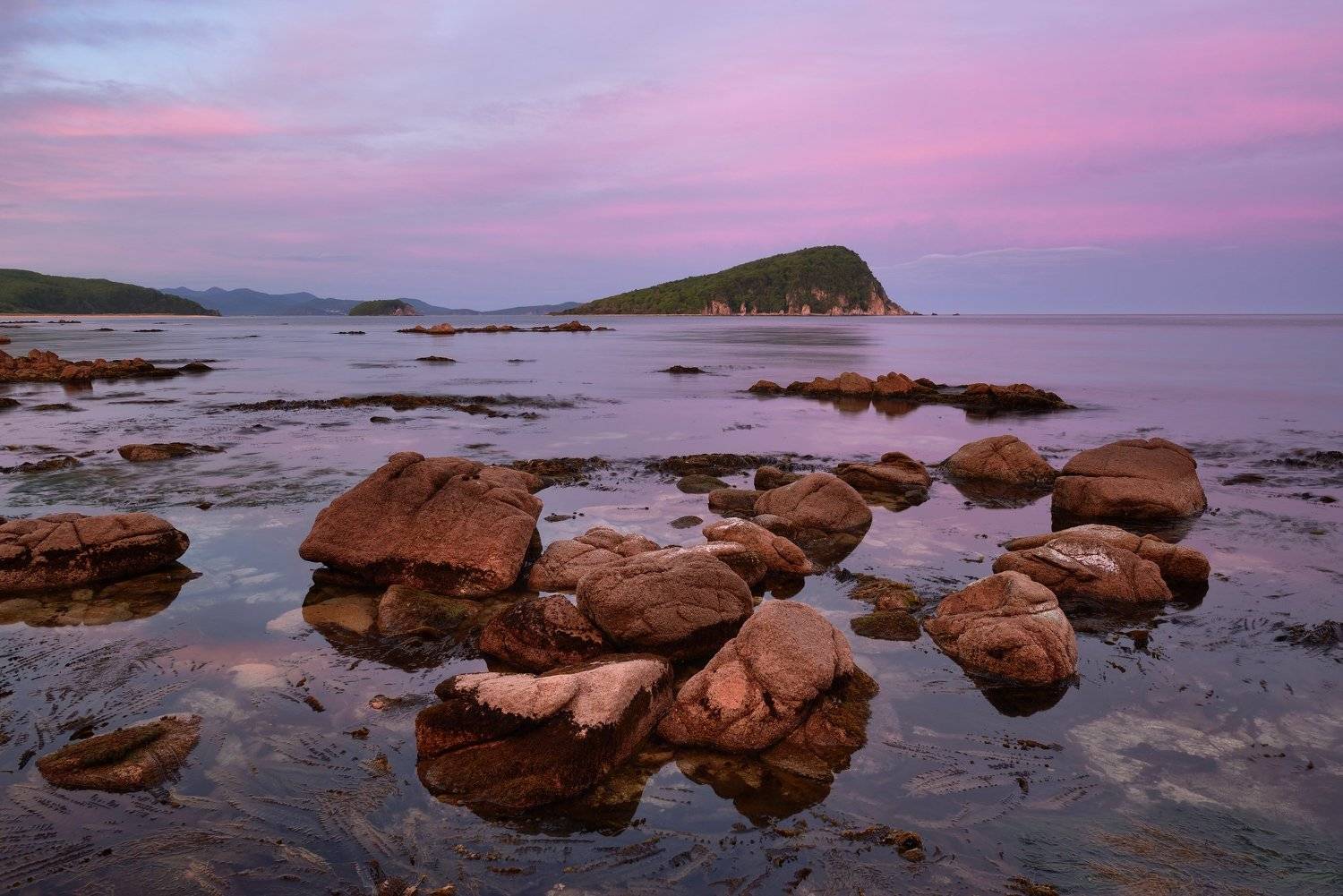 , Максим Евдокимов (www.wildphotorus.ru)