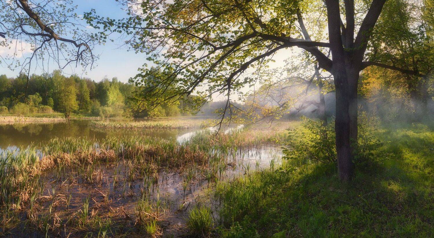 тула, воронка, ясная поляна, Сергей Кочергин