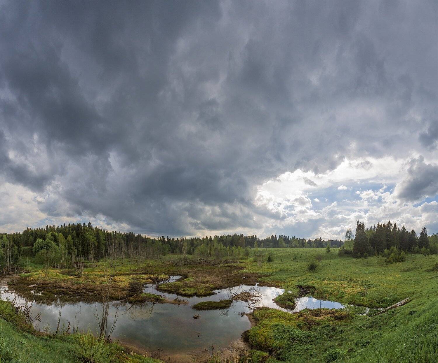 болото, кунгур, урал, пермский край., Кемаев Александр