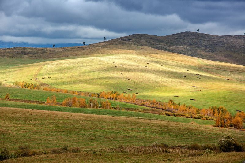 орск оренбургская обл. качурин новотроицк южный урал алтай алтайский край Алтайские \