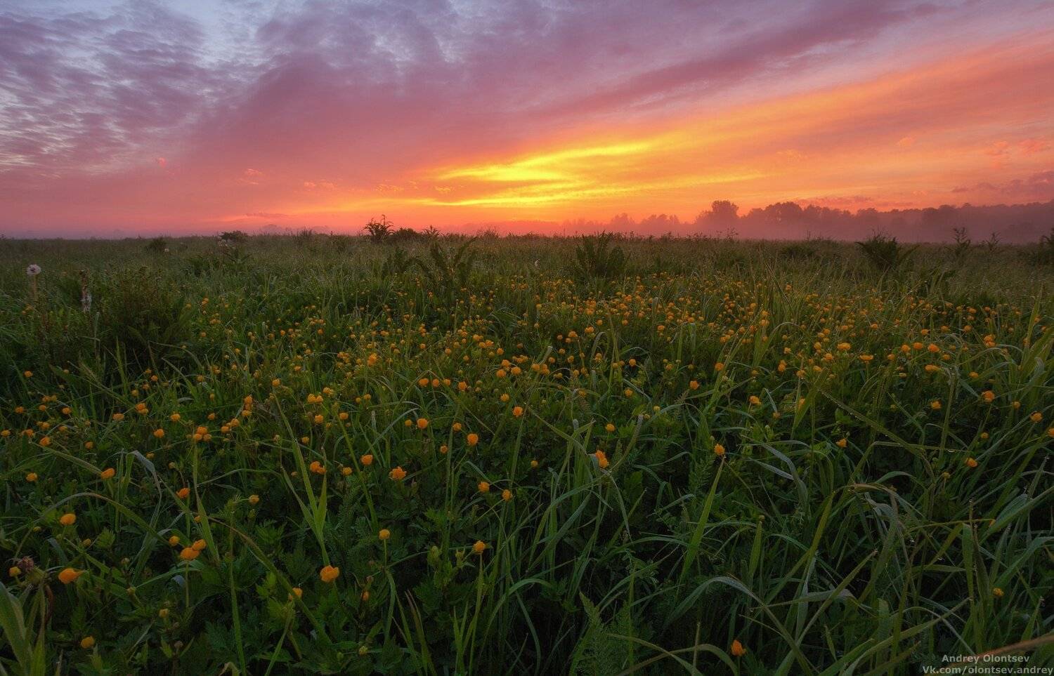 дубна, наукоград, подмосковье, россия, пейзаж, пейзажи, вода, солнце, отражение, рассвет, красота, природа, весна, погода, canon dubna, naukograd, moscow, russia, landscape, water, sun, reflection, dawn, beauty, nature, spring, weather, Андрей Олонцев