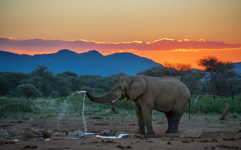 Вечерний душ фото превью