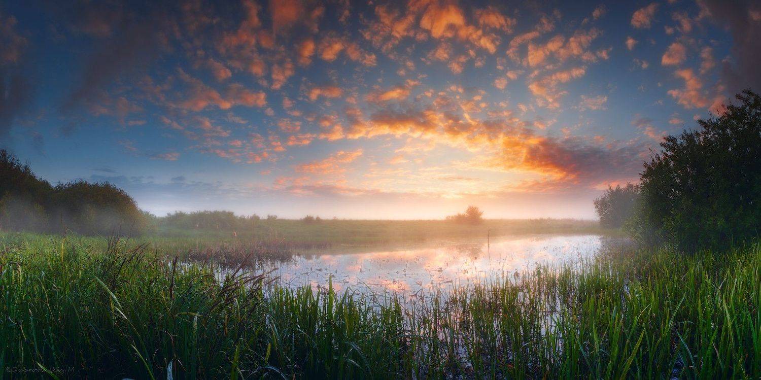 , Михаил Дубровинский