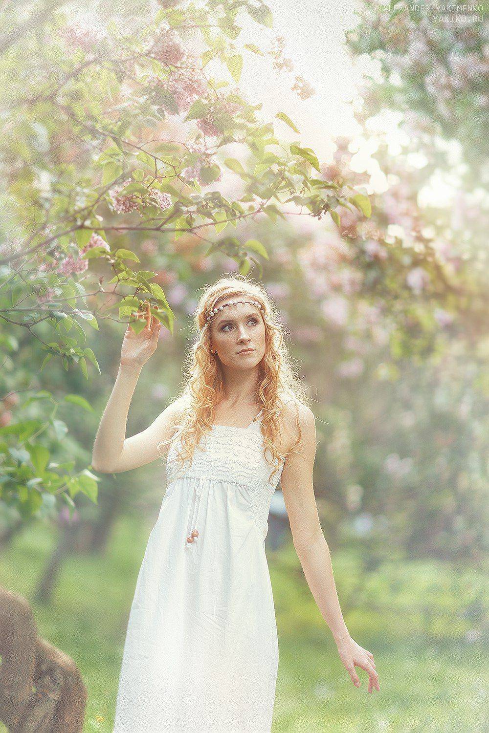 , Alexander Yakimenko