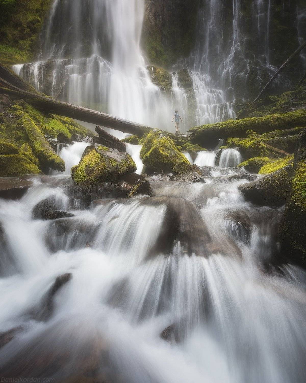 Орегон, Даниил Коржонов
