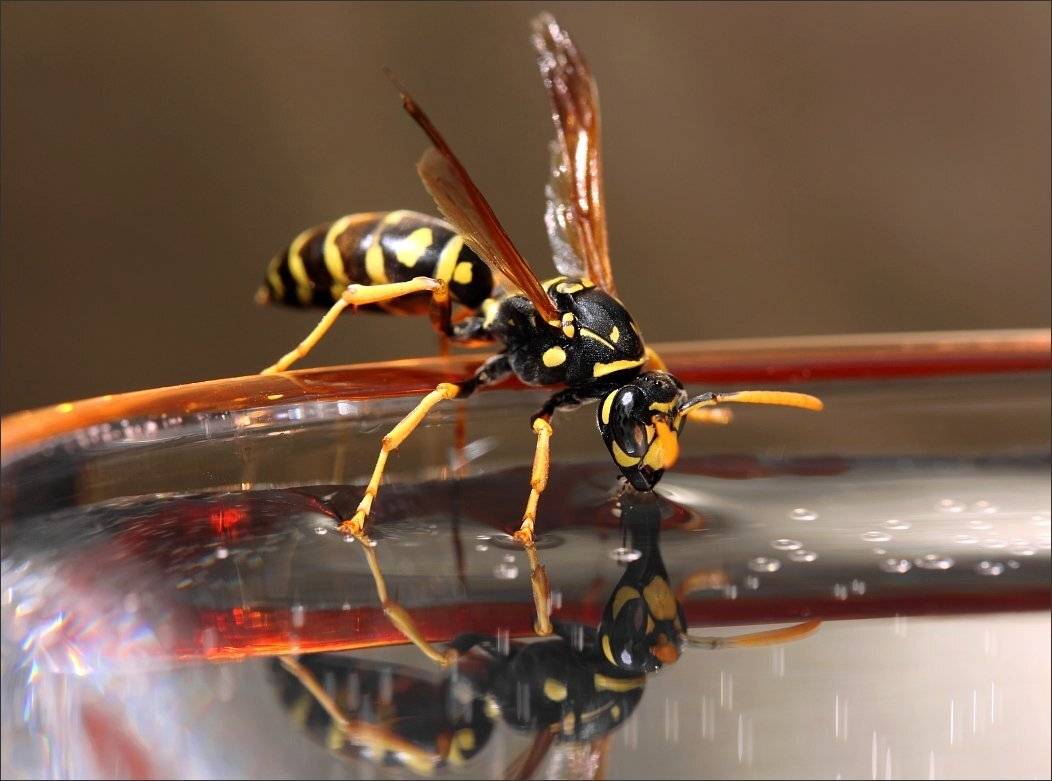 , Сергей Фудиненко