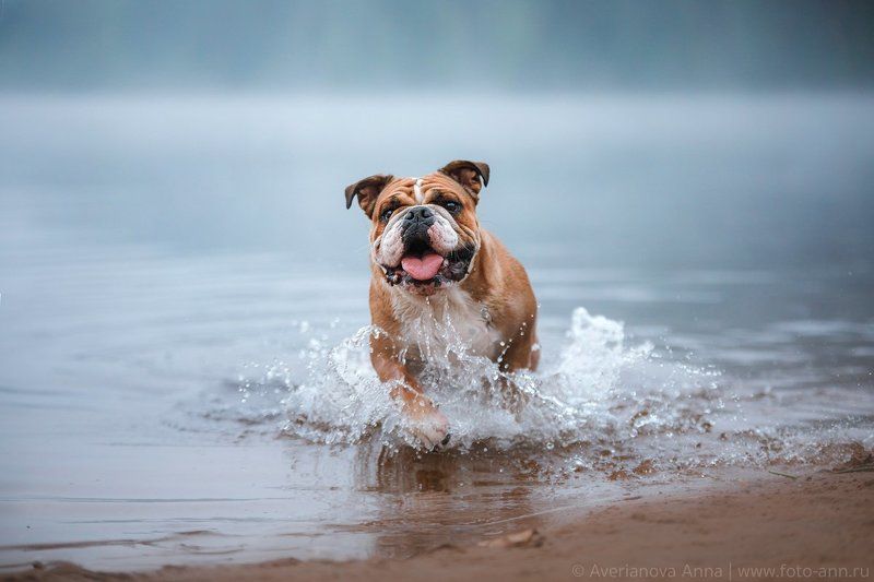 =) фото превью