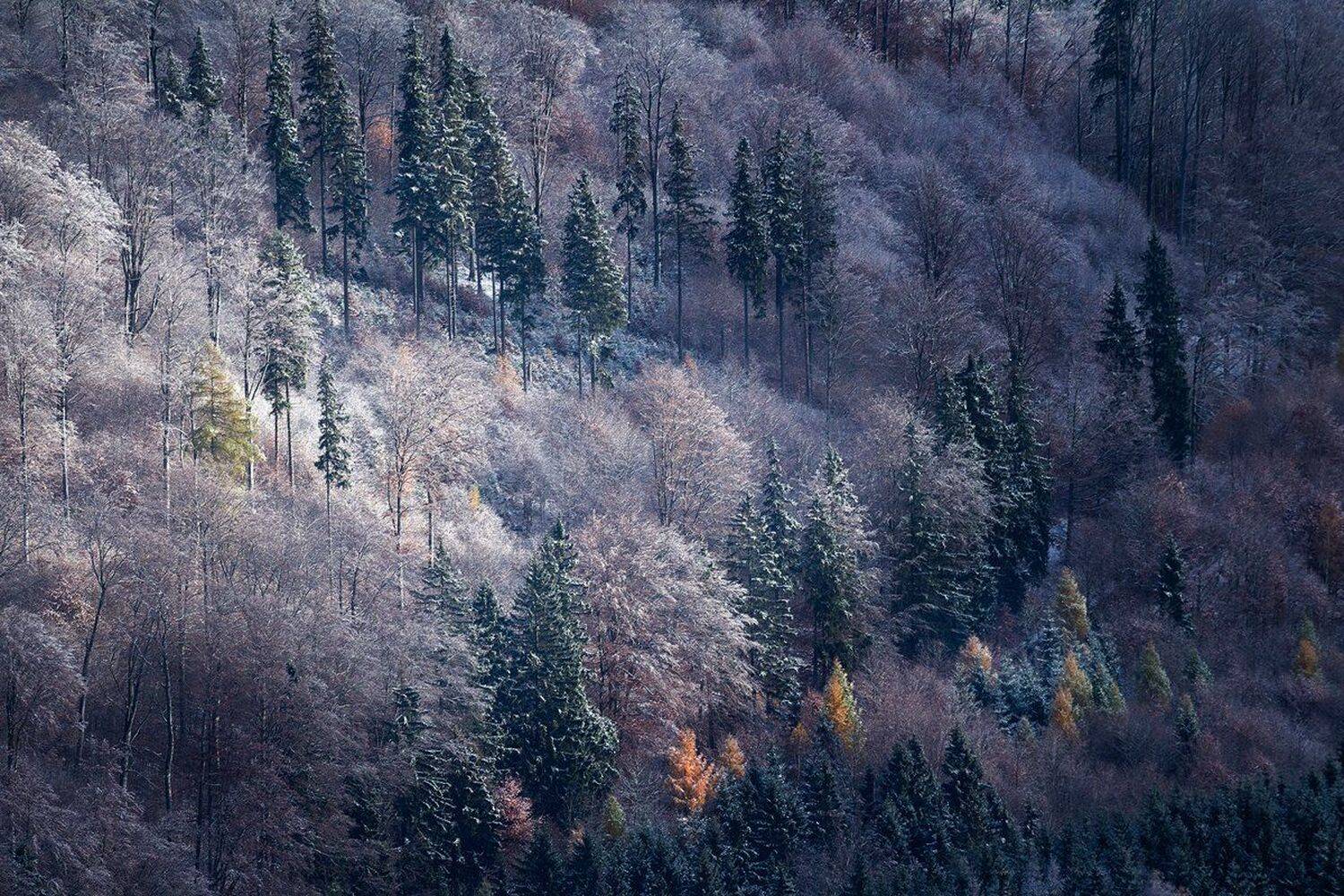 landscape,canon,winter, Iza,Darek