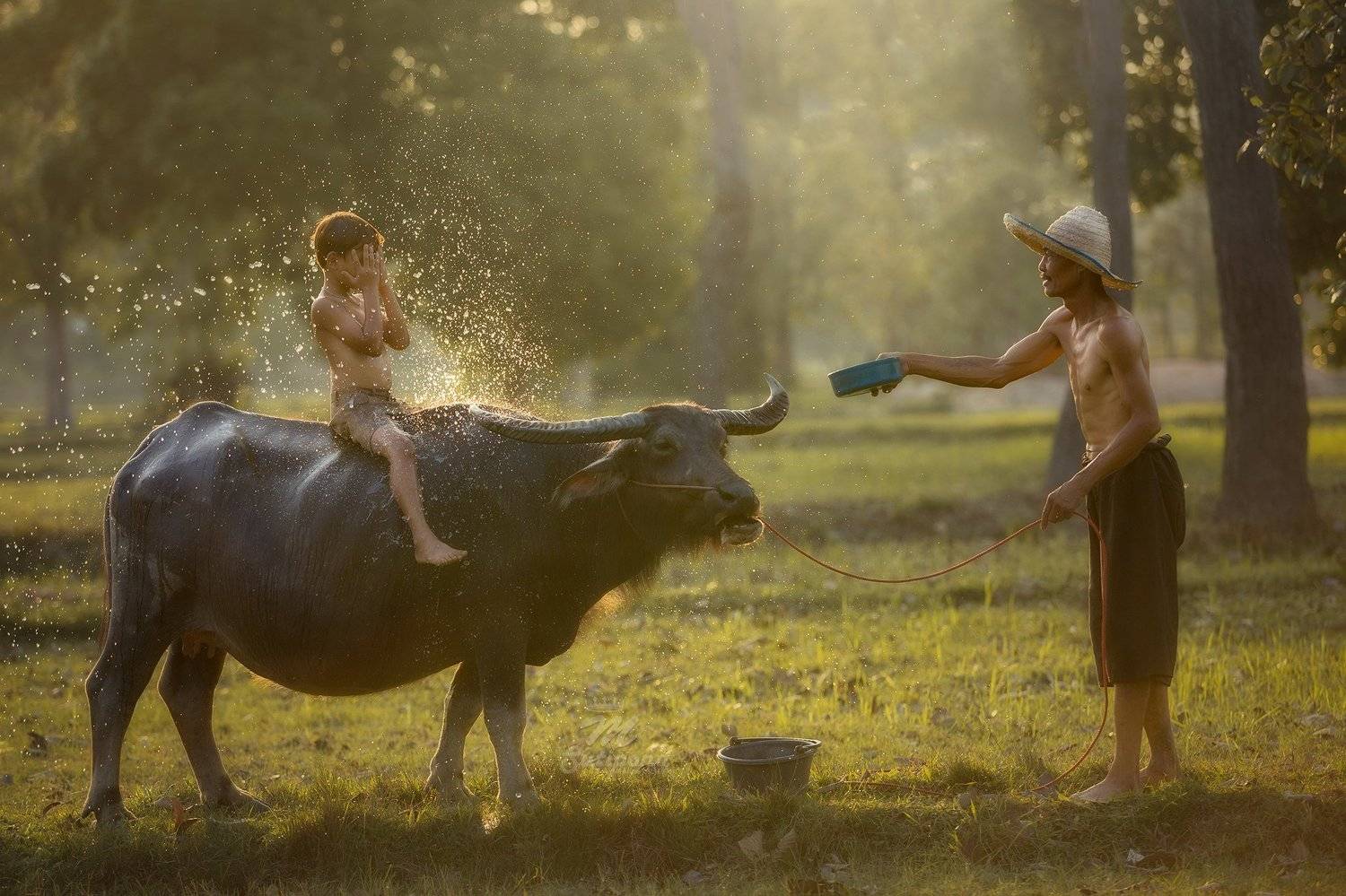 child,cheerful,father son,son,father,thailand., SUTIPORN SOMNAM