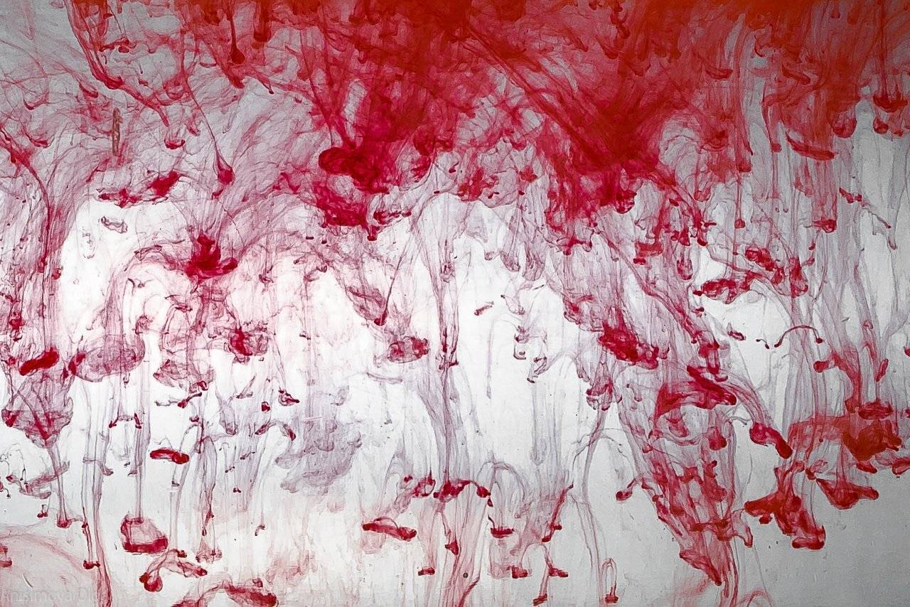 , Анисимова Ольга Леонидовна