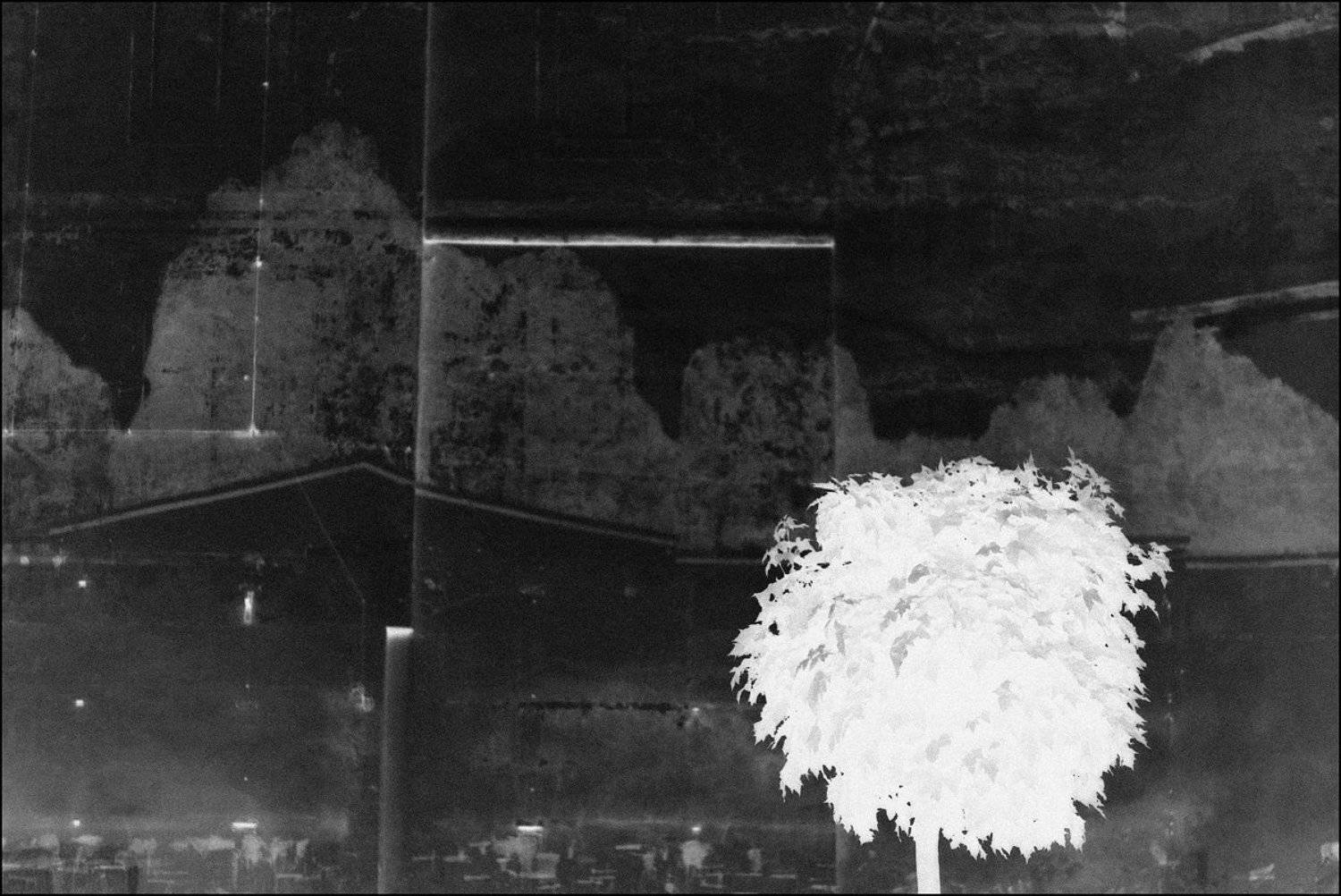 , Krzysztof Trojanowski