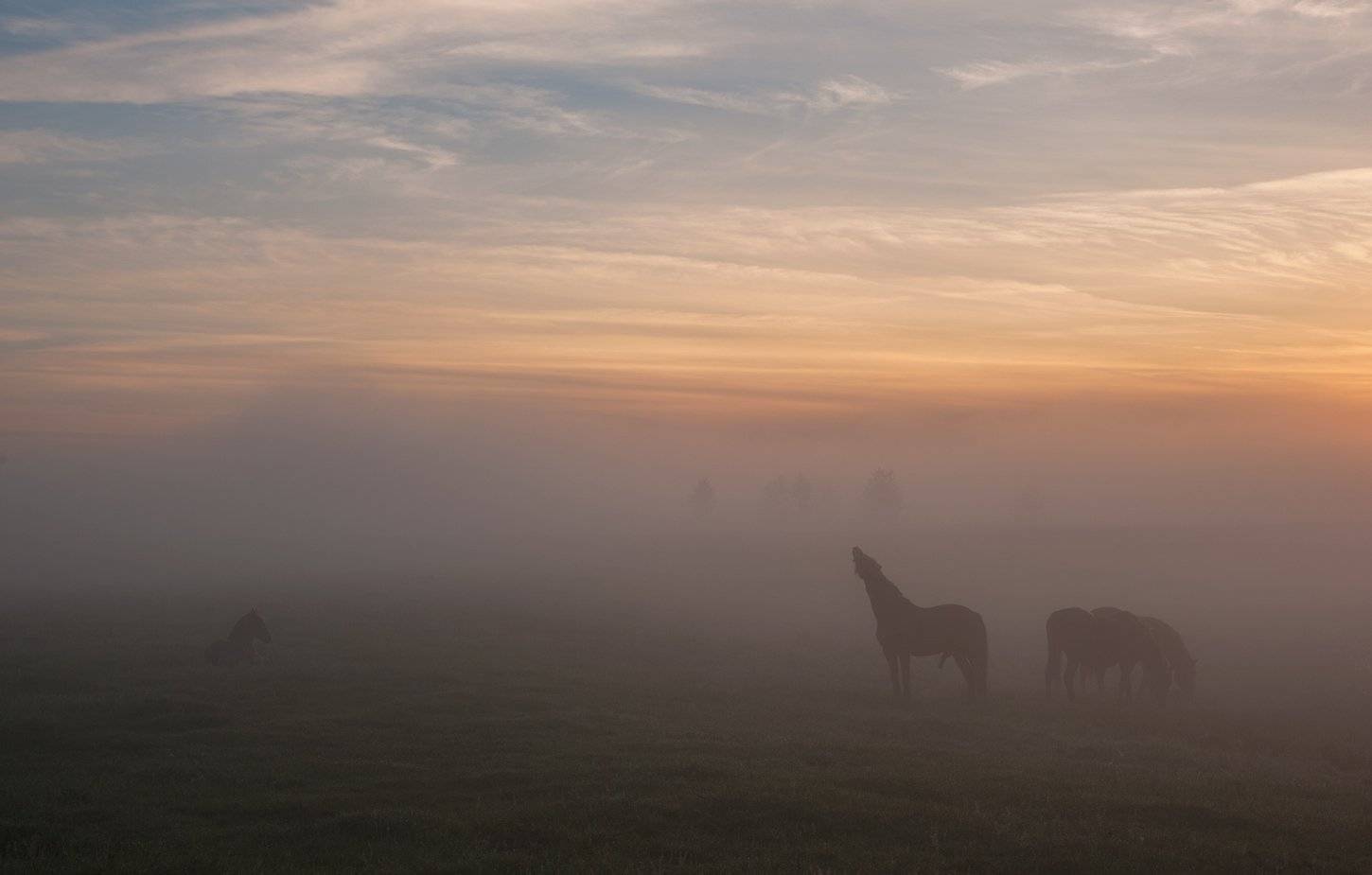 , Володимир Карчевський