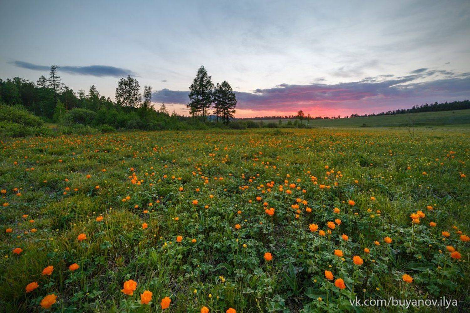 , Илья Буянов