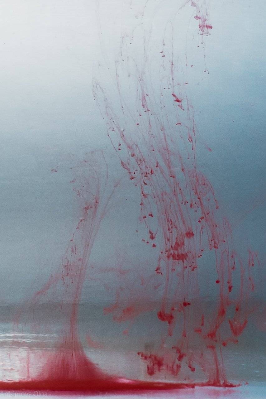 , Анисимова Ольга Леонидовна