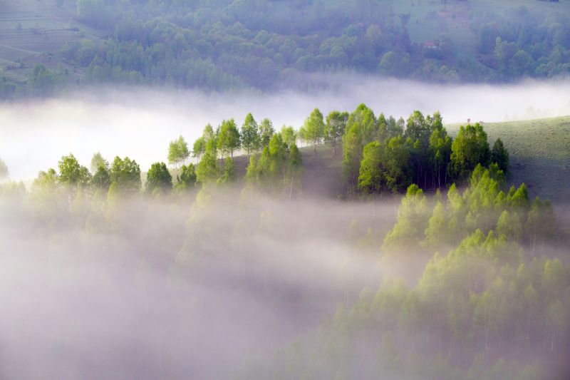 mist,fog,hill,trees,nature,apuseni,romania, Touch фото превью