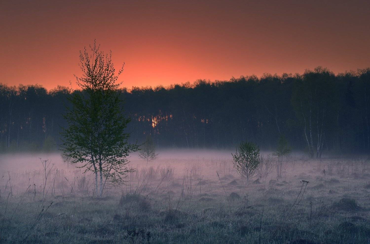 #пейзаж #подмосковье #закат #рассвет #россия #жизнь #мир #чехов #sibirikonium85, Морозов Юрий