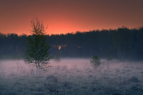 /На рассвете.../